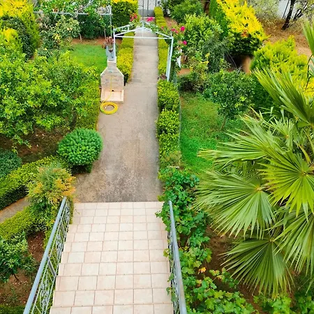 House With Wonderful View Apartment Lefkandi Chalkidas Exterior photo