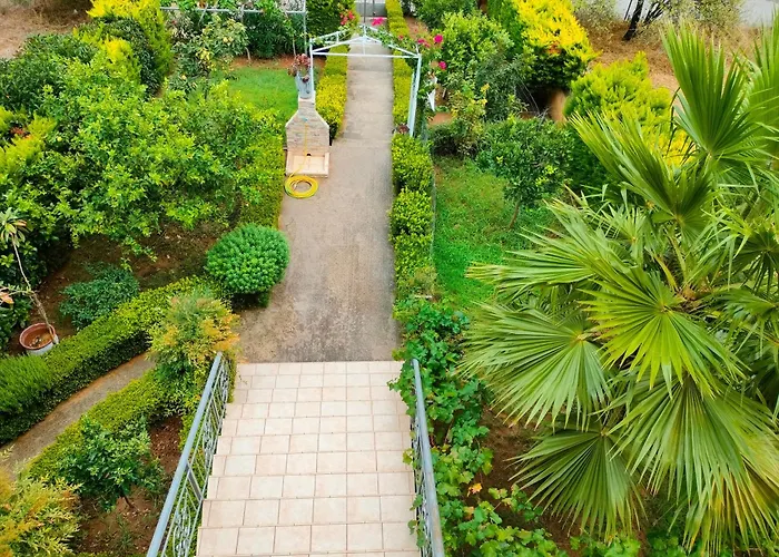 House With Wonderful View