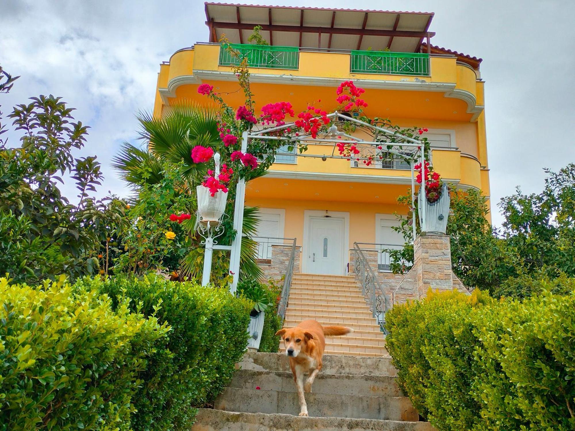 House With Wonderful View Lefkandi Chalkidas